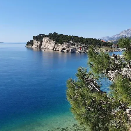 Spacious Family Near The