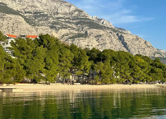 Spacious Family Near The Apartman