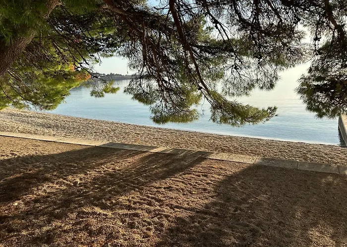 Apartman Spacious Family Near The *