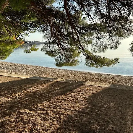 Apartment Spacious Family Near The *